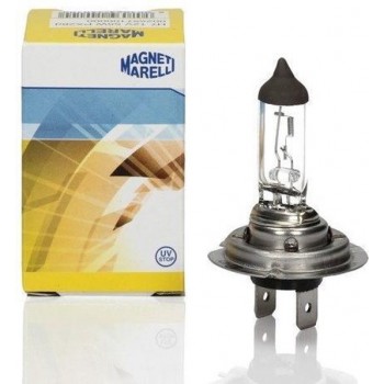 H7 Lamp Magnetti Marelli