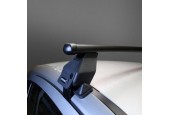 Dakdragers Nissan Leaf (ZE0) 5 deurs hatchback 2010 t/m 2016