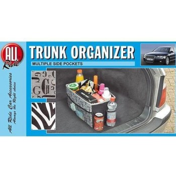 Auto trunk organizer