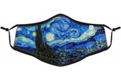 Van Gogh Mondkapje Katoen
