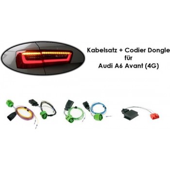 Kabelboom + codering dongle LED achterlichten Audi A6 Avant (4G
